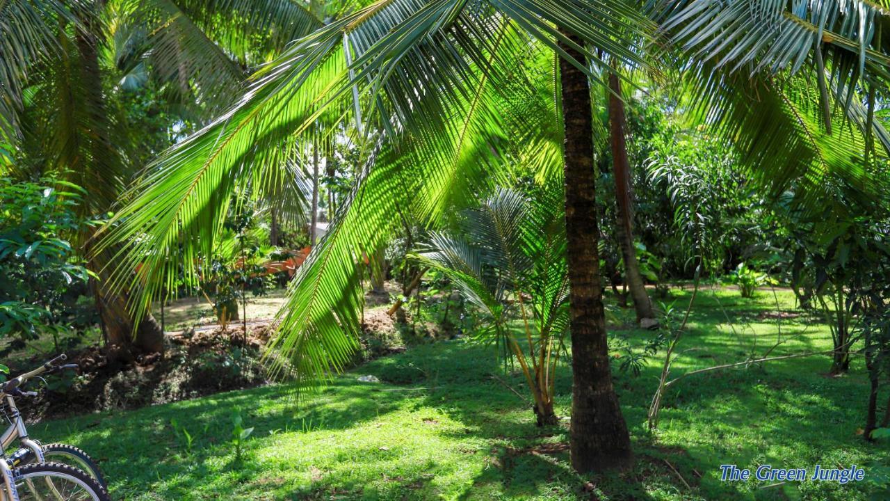 The Green Jungle Dambulla Zewnętrze zdjęcie