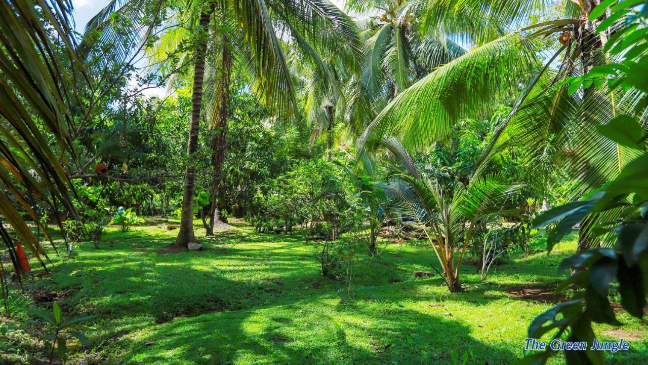 The Green Jungle Dambulla Zewnętrze zdjęcie