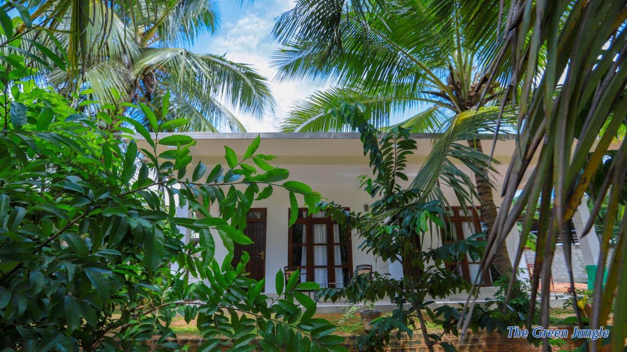 The Green Jungle Dambulla Zewnętrze zdjęcie